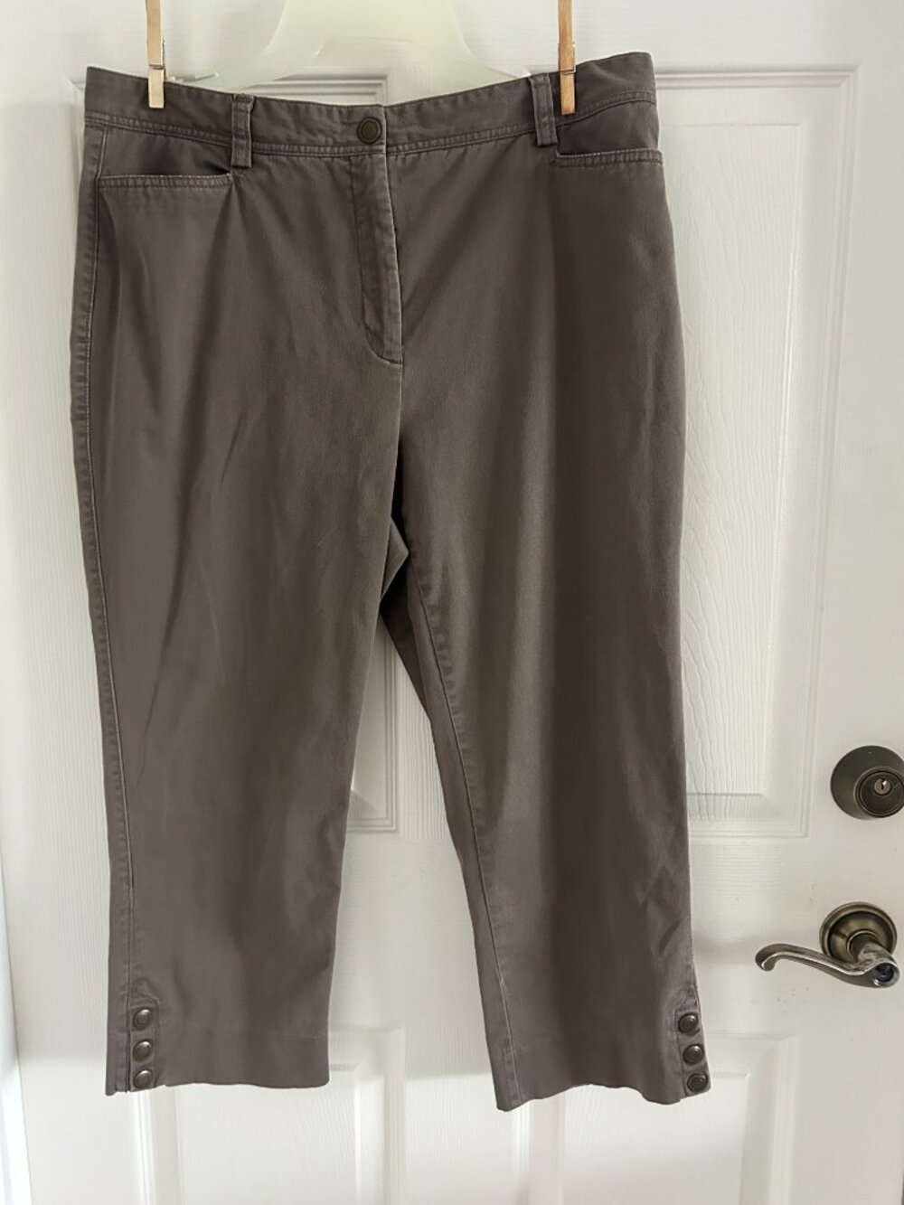 Northern Reflections TOWN Capris, Brown Cropped Pants, Size 12
